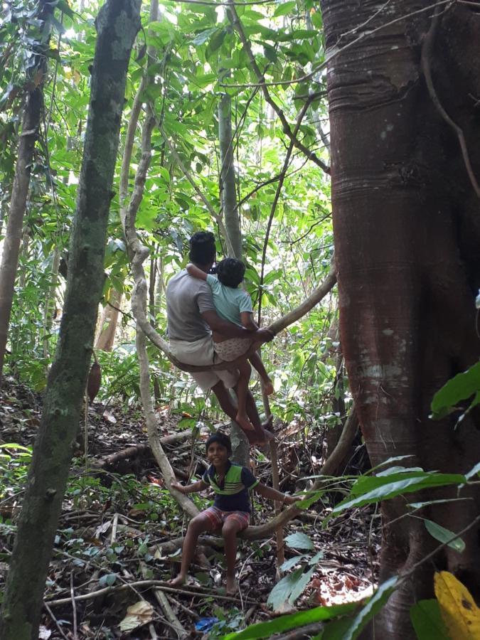 Spiritual Nature Farm - Sri Lanka بيت خشبي *
